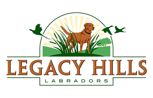 Legacy Hills Labradors